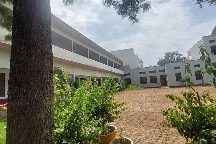 gallery 7