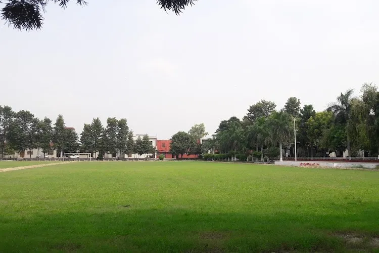 gallery 8
