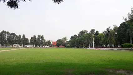 gallery 11