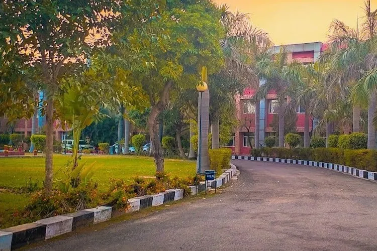 gallery 9