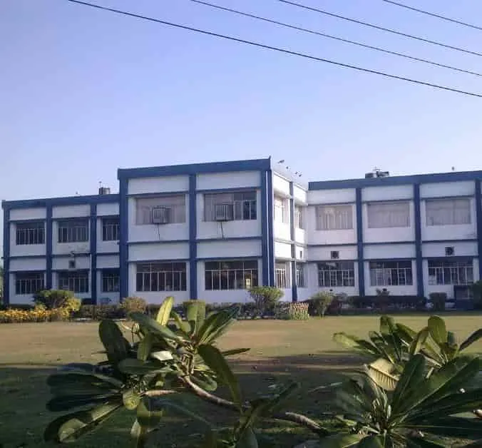gallery 6