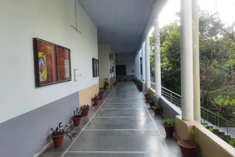 gallery 6