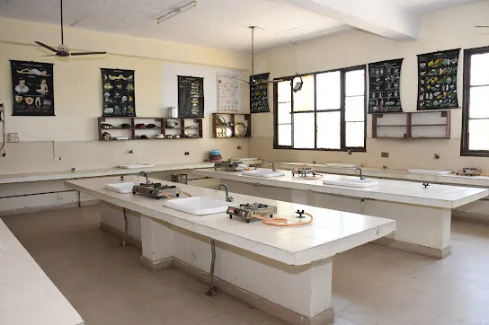 gallery 12