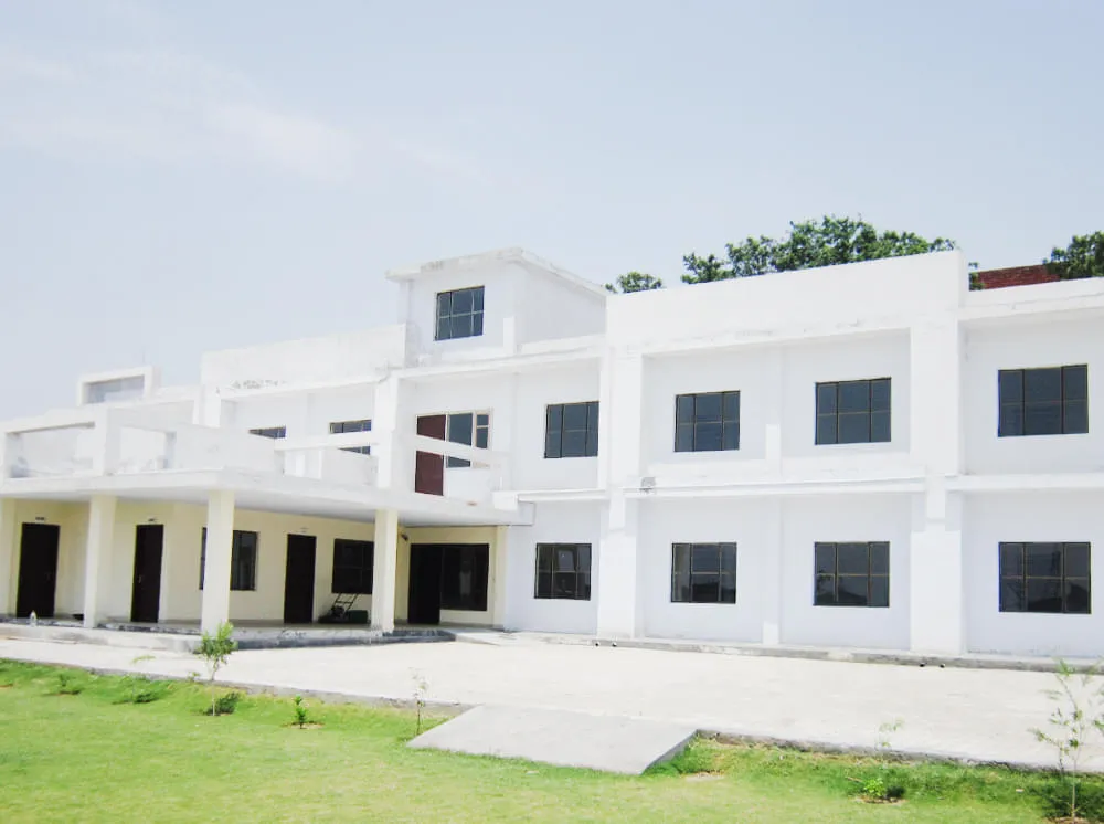 gallery 5