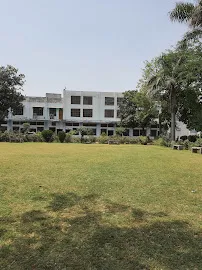 gallery 15