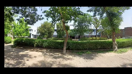 gallery 19