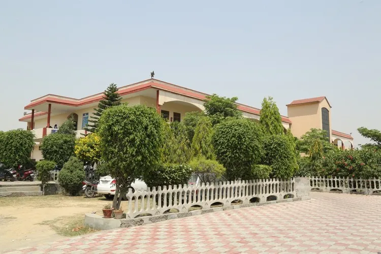 Gallery 5