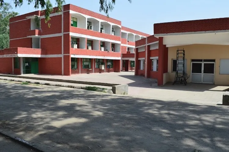 gallery 6