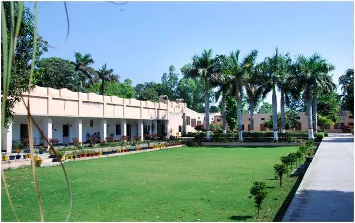 gallery 6