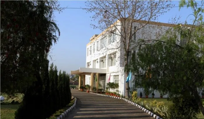 Gallery 5