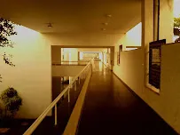 gallery 7