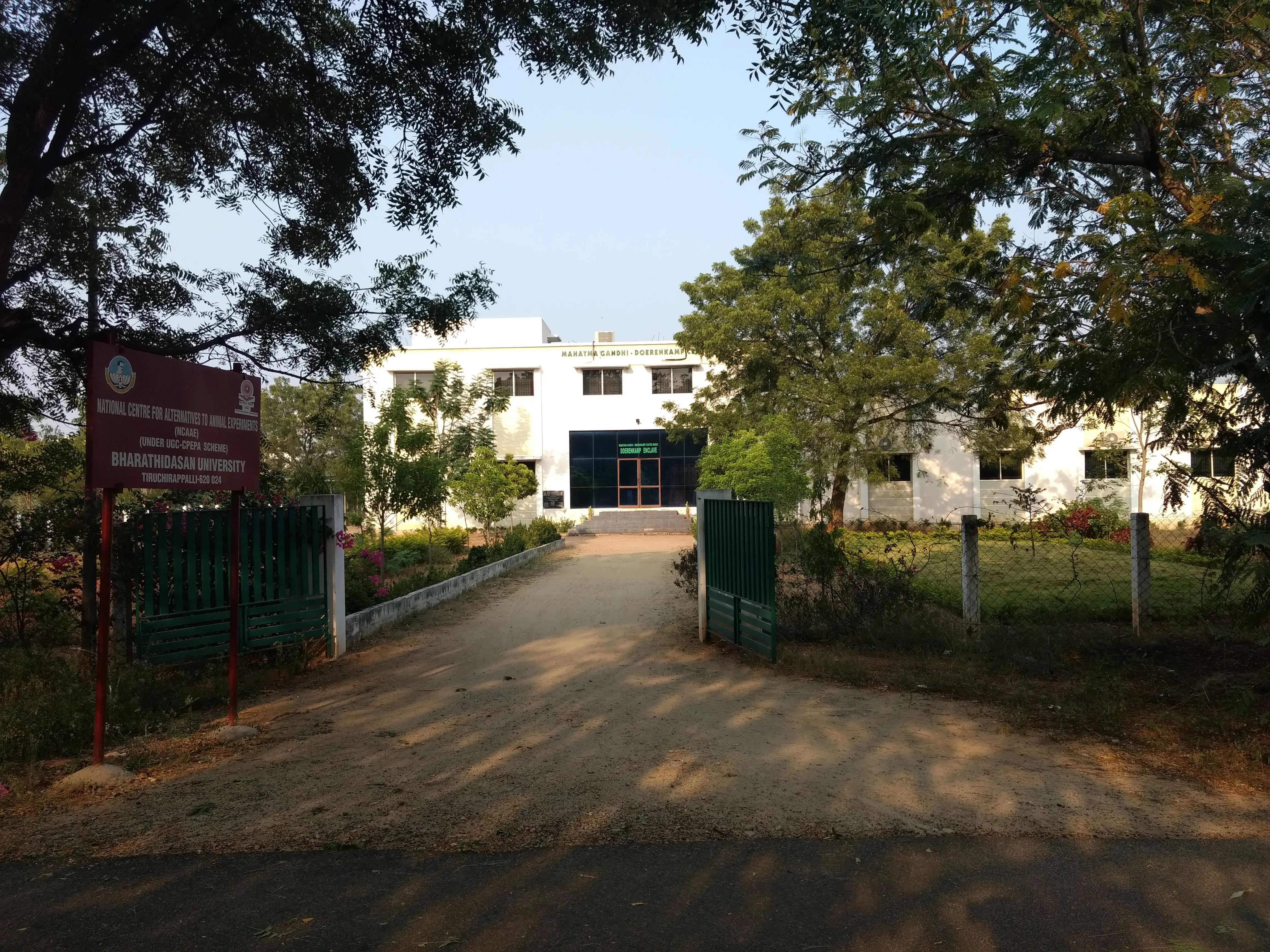 gallery 7