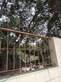 Gallery 4