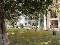 Gallery 4