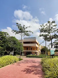 gallery 6