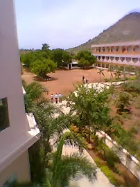 Gallery 5