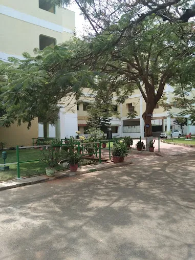 gallery 6
