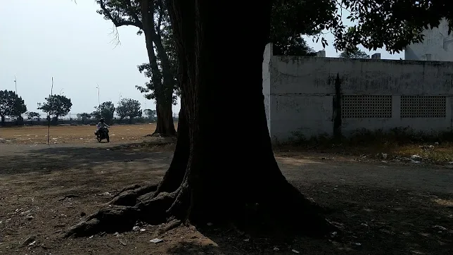 gallery 7