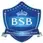 Bharathidasan School of Business Ellispettai
