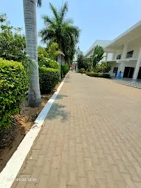 Gallery 5