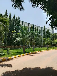 Gallery 4