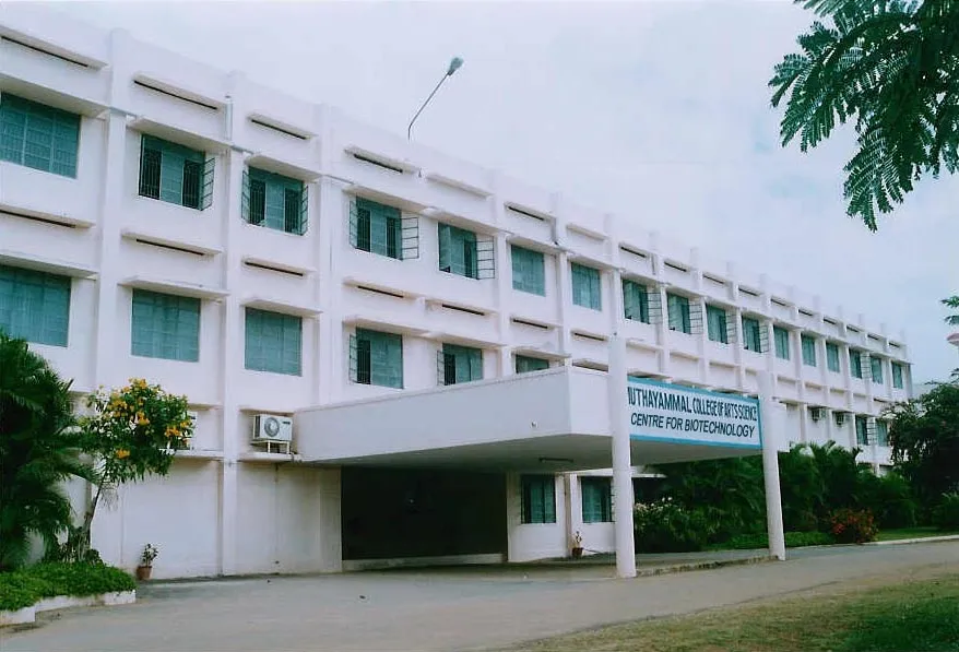 gallery 4