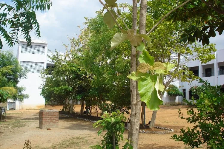 gallery 8