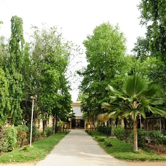 Gallery 4