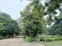 gallery 6
