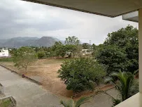 gallery 8