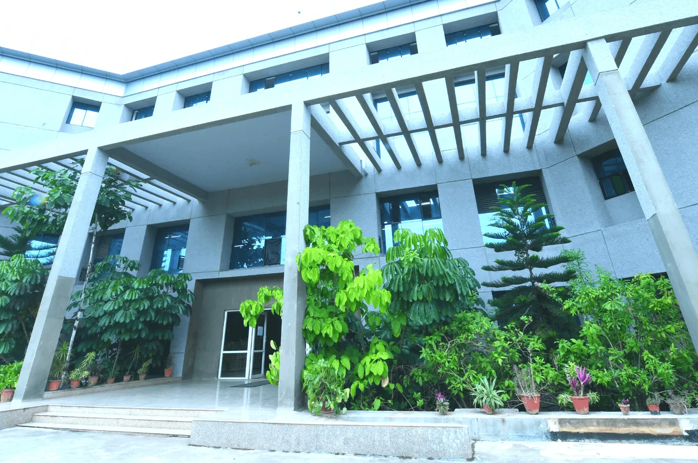gallery 7