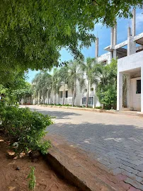 Gallery 5