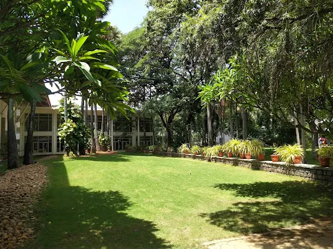 Gallery 5