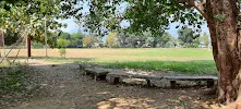 gallery 7