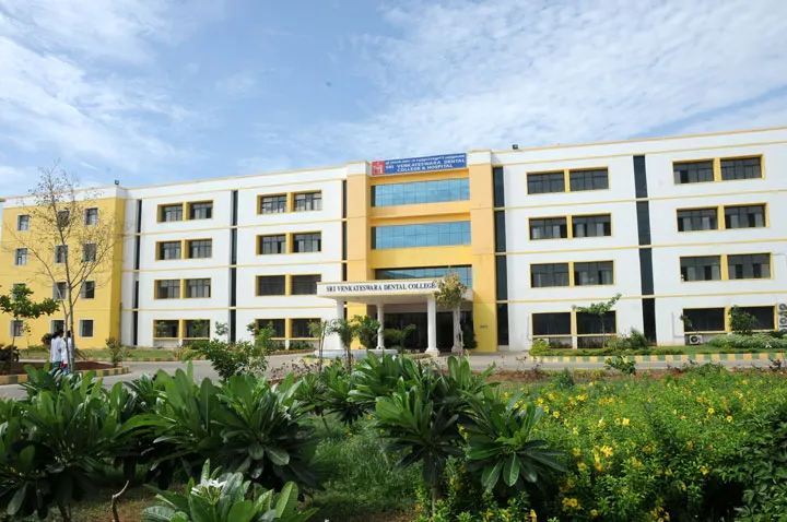 gallery 8