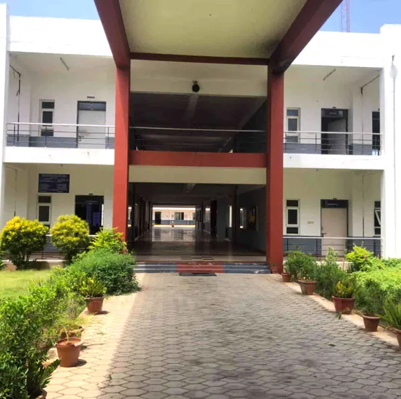 gallery 6