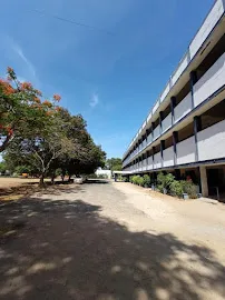 gallery 7