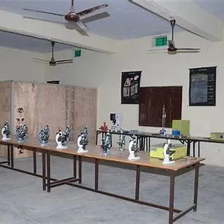 gallery 8