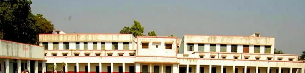 gallery 6