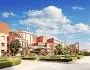 Gallery 4