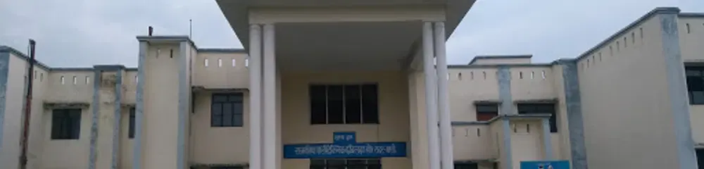 Gallery 5