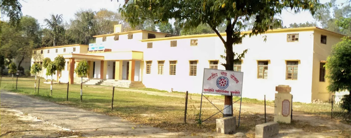 Gallery 4