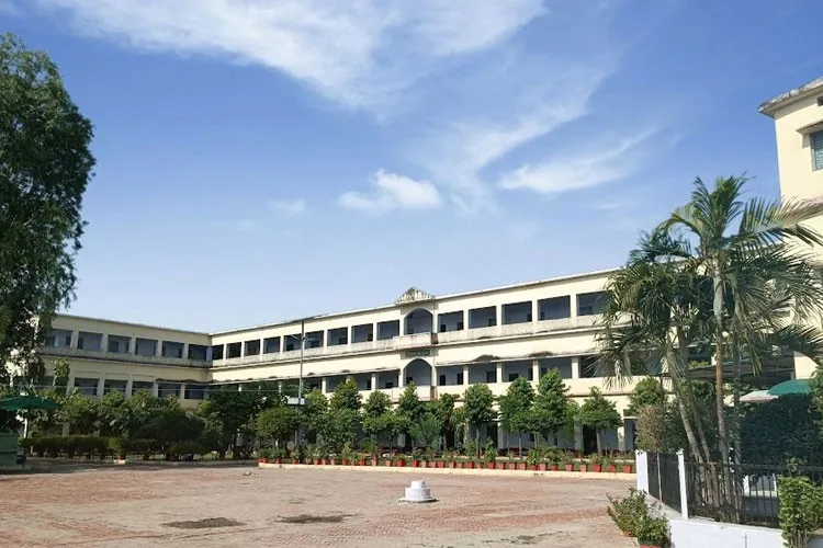 gallery 4