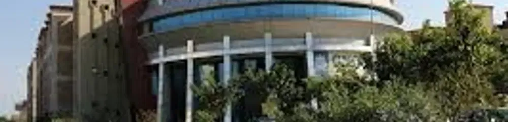 gallery 7