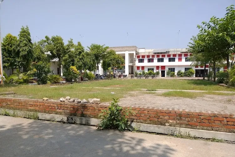 gallery 6