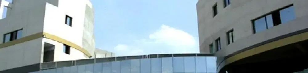 Gallery 5