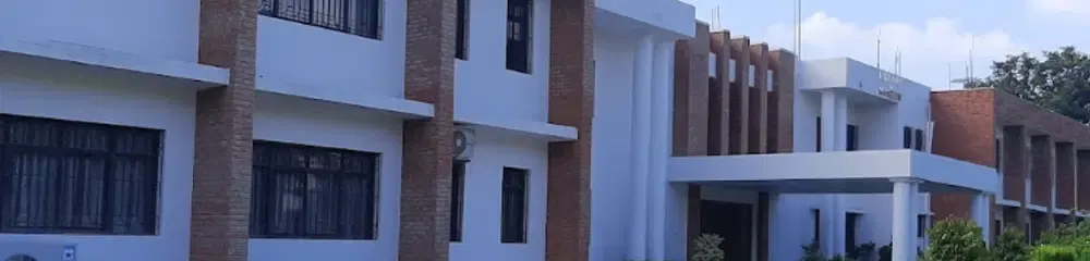 gallery 6