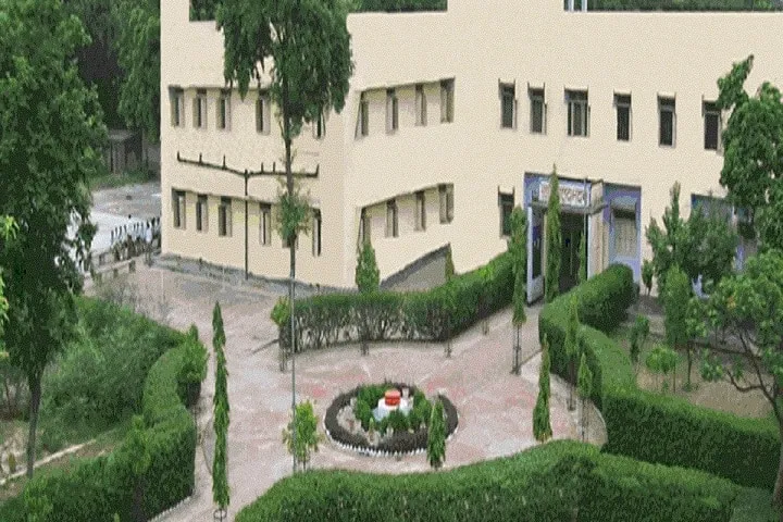 Gallery 5