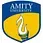 Amity University