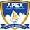 Apex Institute of Technology